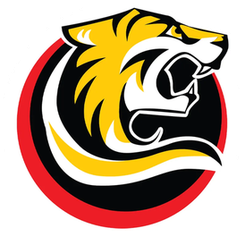 巴拉瑞特矿工女篮